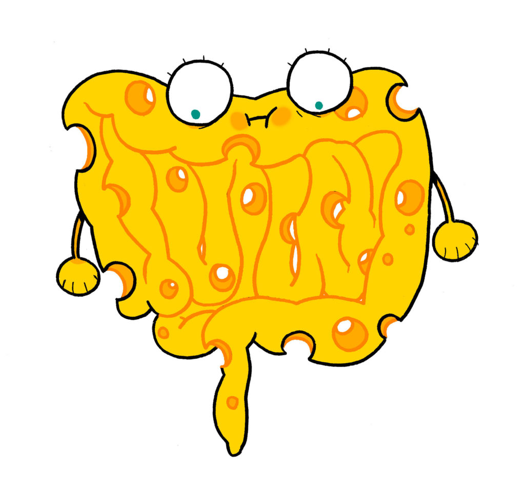Hyper-perméabilité intestinale ou intestins perforés comme du gruyère, les symptômes sont galère.