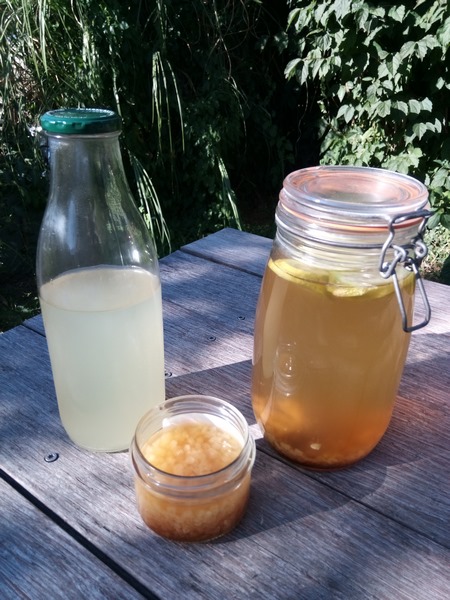 Kéfir frais pour un apéro qui pétille de vie et ravive ton ventre !