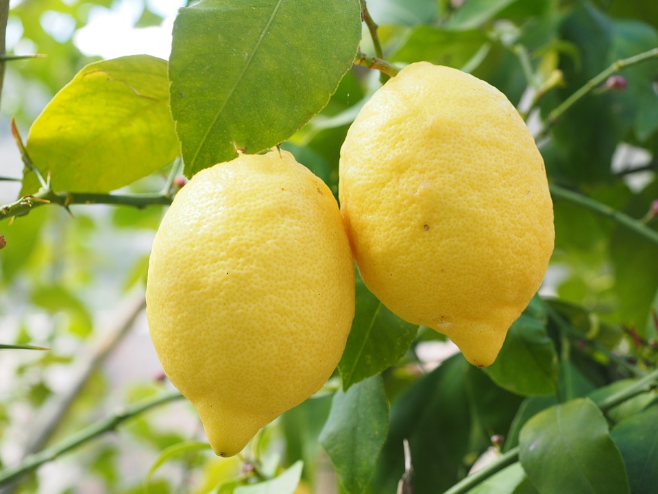 Jus de citron et eau chaude réveillent tes organes digestifs avant le p’tit déj’ !
