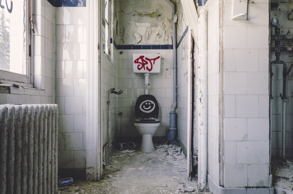 Les toilettes utilisées actuellement en Occident sont-elles obsolètes ?